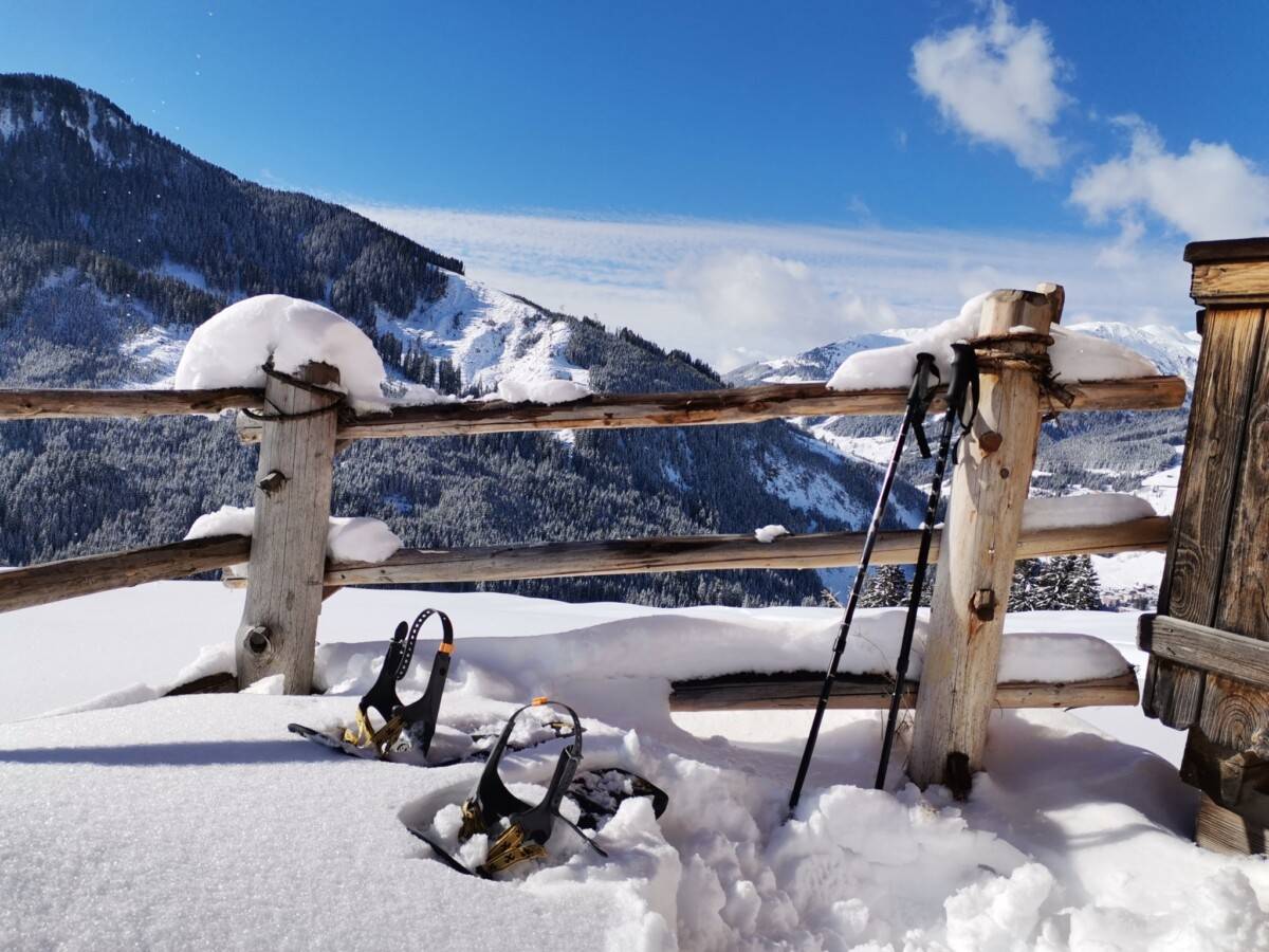 Sneeuwwandeling-70_original_copy_1_copy_1