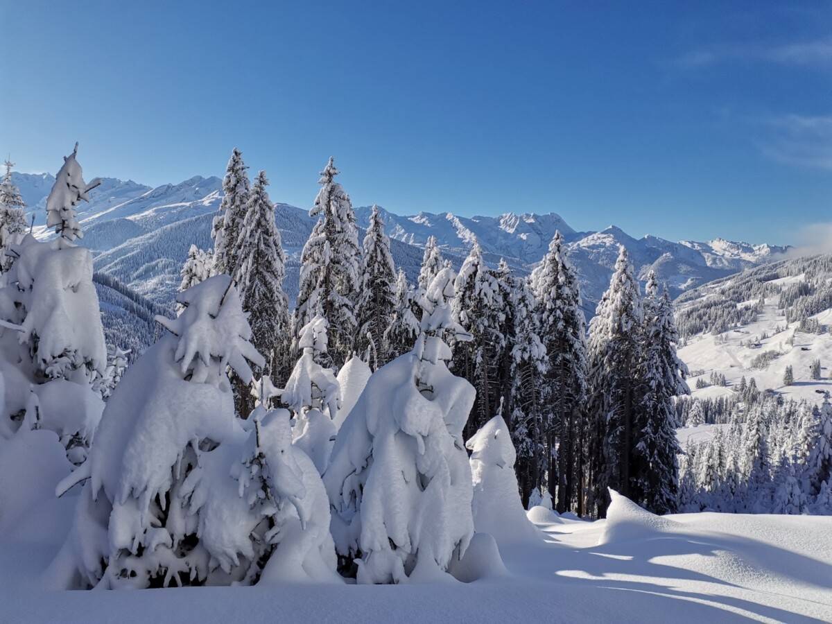 IMG_20231203_104057_original