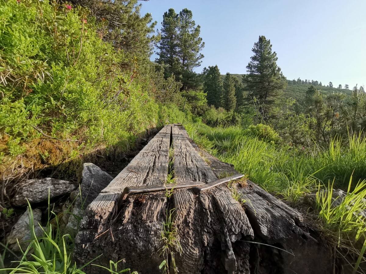 Friesenberghaus_Olpererhutte6_original