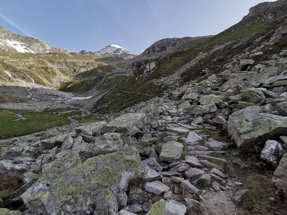 Friesenberghaus_Olpererhutte7_original